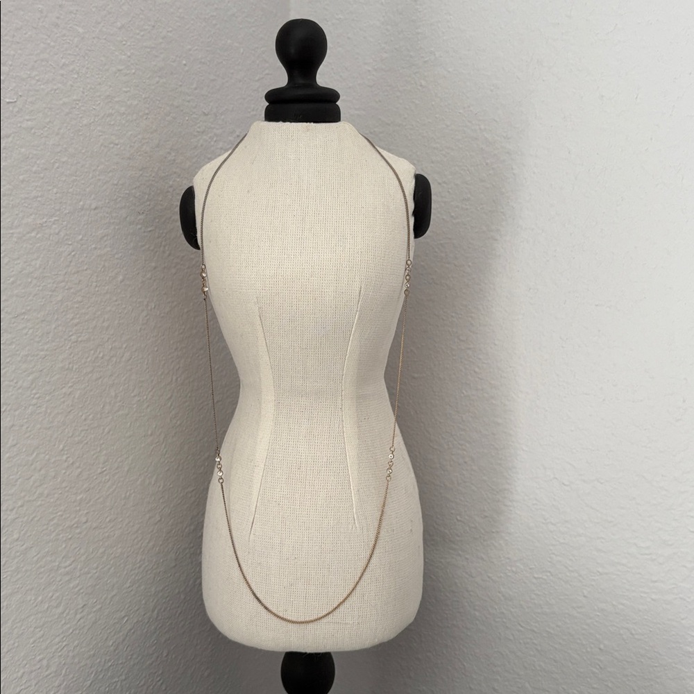 Banana Republic Long Tiny Crystal Necklace